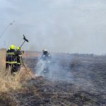 Eloltották a tüzet Várpalota közelében