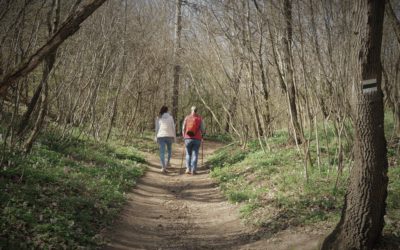 Túrával búcsúztatják az óévet a Sóstón