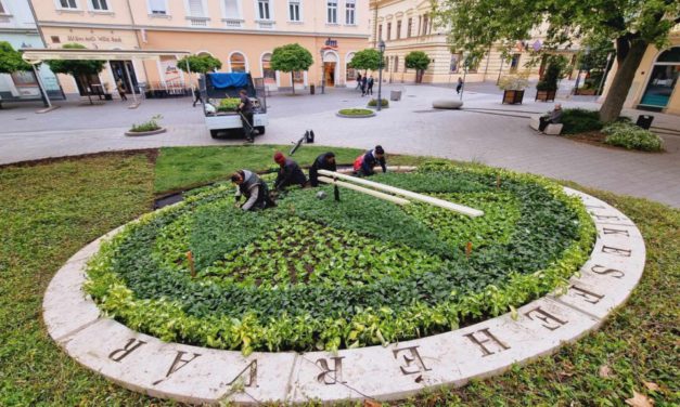 Elkezdték az ültetést – ötezer tő virág kerül idén tavasszal a Virágórába