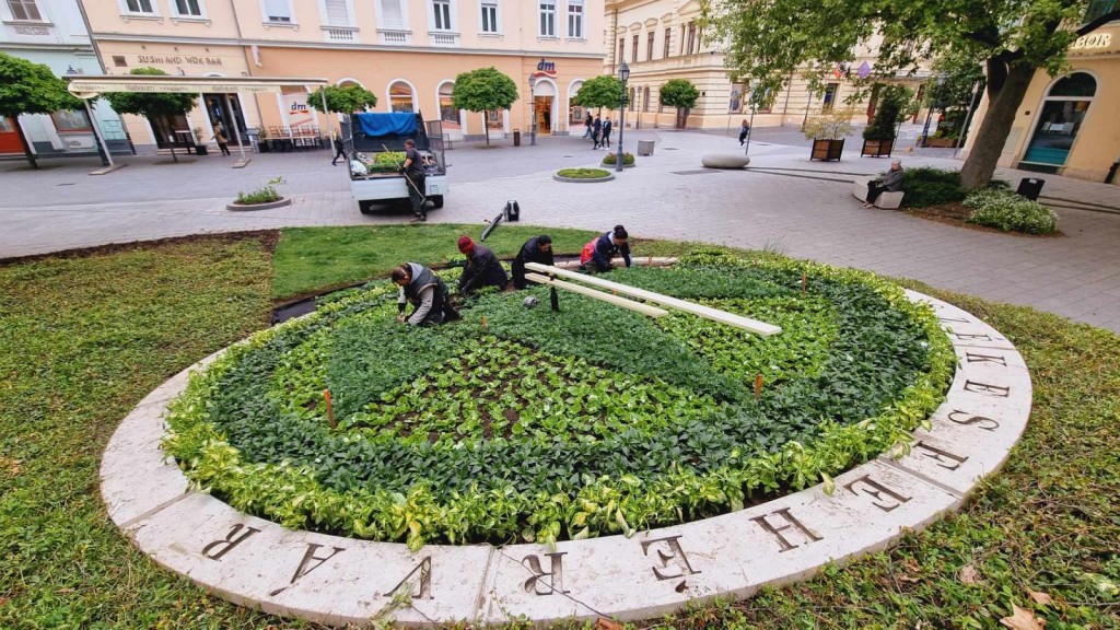 Viragora_beultetes24_1