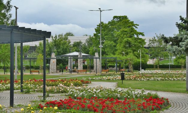 Már most csodaszép a megújult Rózsa liget