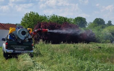 Folyamatosan gyérítik a szúnyogokat Fehérváron