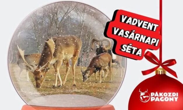 VADventi séta lesz vasárnap a Pákozdi Pagonyban