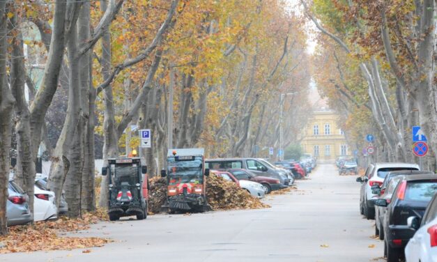 Egynapos parkolólezárás munkavégzés miatt a Gyümölcs utcában