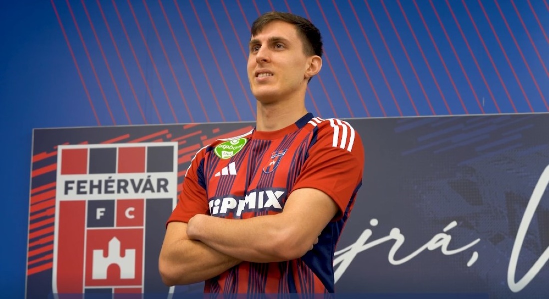 Vidi_24_25_Petrov_ig1