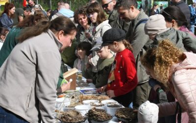 Három éve a természet szolgálatában