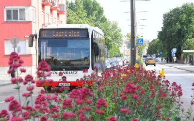 Augusztusban újabb menetrendbővítés léphet életbe a fehérvári buszközlekedésben