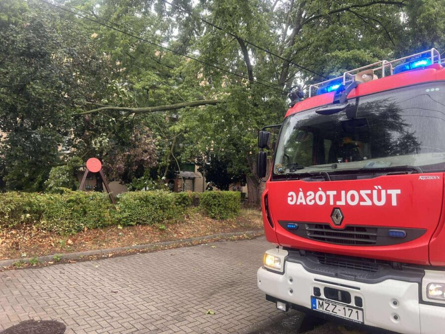 large_tuzolto1_b60709353a