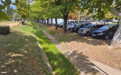 Csütörtökön tisztítják a Malom csatorna medrét – egy napra lezárják a parkolókat