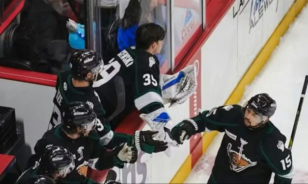 Csatárt igazolt a FEHA19, szerződést hosszabbított védőjével a Vidi