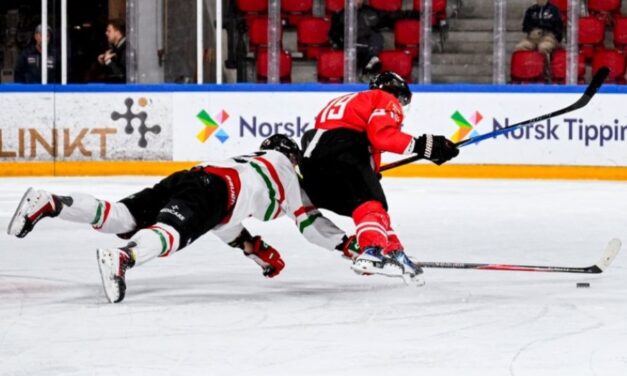 Hoki: Terbócs gólt ütött, de jobban hajráztak az osztrákok