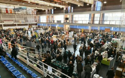 Ismét Fehérváron randevúztak az ország méhészei