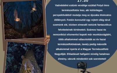 Potyó Imre természetfotóssal folytatódnak a Vadvédelmi esték a Sóstón