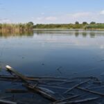 Ma van a Víz Világnapja – nagy kincs, vigyázzunk rá!