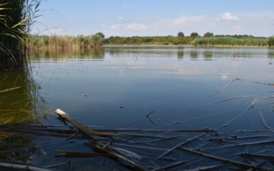 Ma van a Víz Világnapja – nagy kincs, vigyázzunk rá!