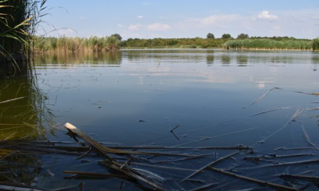Ma van a Víz Világnapja – nagy kincs, vigyázzunk rá!