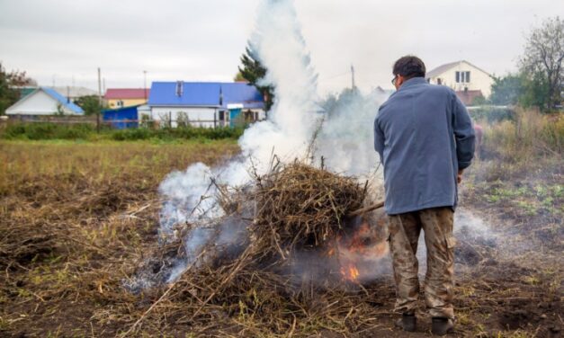 Továbbra is tilos az avar- és zöldhulladék-égetés Fehérváron