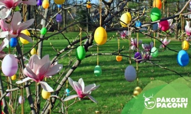 Felfedező kalandozás és tojásfadíszítés a Pákozdi Pagonyban