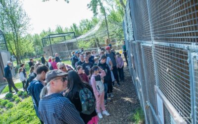 Nyitva lesz pénteken a Koronás Park, a Bregyó és a Vadvédelmi Központ is