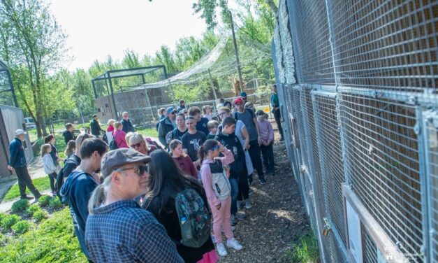 Sikeres volt a Sóstó Vadvédelmi Központ születésnapi programja