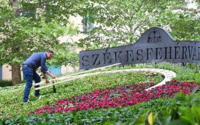 Elkészült a 2026-os Virágóra beültetése, a mutatók is a helyükre kerültek