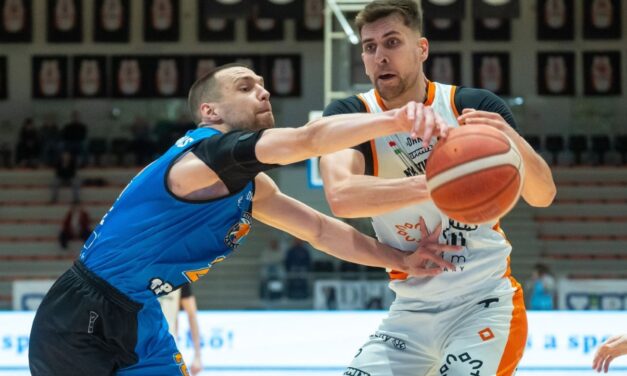 Alba: válogatott center a fedélzeten – Meleg Gergő kék-fehérben folytatja!
