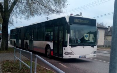 Ingyenes lesz a buszközlekedés vasárnap Székesfehérváron