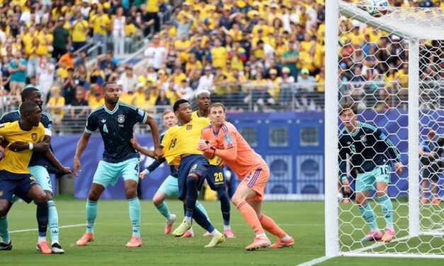 Foci vb: Dél-afrikai és ecuadori bravúr, német, cseh és koreai blama, brazil, marokkói és elefántcsontparti győzelem