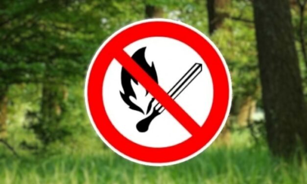 A kijelölt helyeken sem lehet tüzet gyújtani egyelőre – tilalom az egész országban