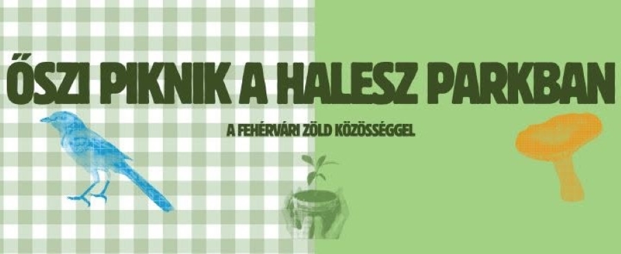 Oszi_piknik1