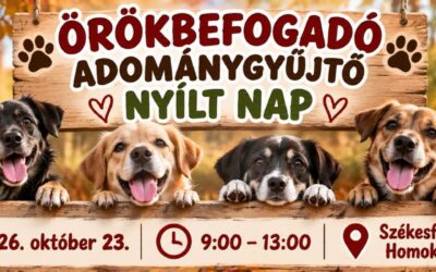 Örökbefogadó és adománygyűjtő nyílt nap lesz pénteken az ASKA menhelyen